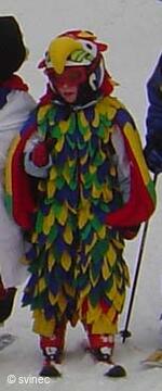 Lyžařský areál na Svinci u Nového Jičína